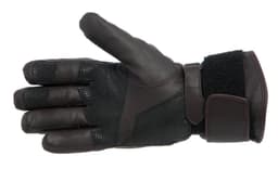 SEGURA MARSHALL Brown 3