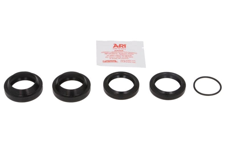 ARIETE Bike front suspension seals